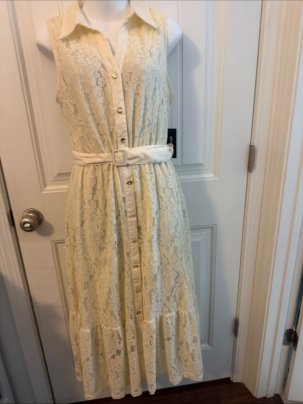 Alice Blue Sleeveless Lace Button Maxi Dress in Light Yellow(Self-Portrait)Sm